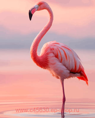 ������� �� ������� 40*50 �� ������ �� ���������� ������� ��������