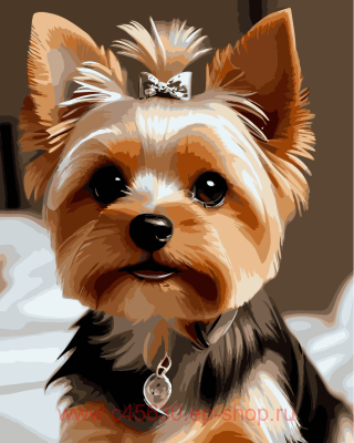 ������� �� ������� 40*50 �� ������ �� ���������� ������ - ����