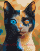 ������� �� ������� 40*50 �� ������ �� ���������� ����� � ������� �������