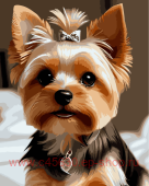 ������� �� ������� 40*50 �� ������ �� ���������� ������ - ����